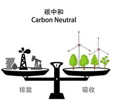 碳中和.png